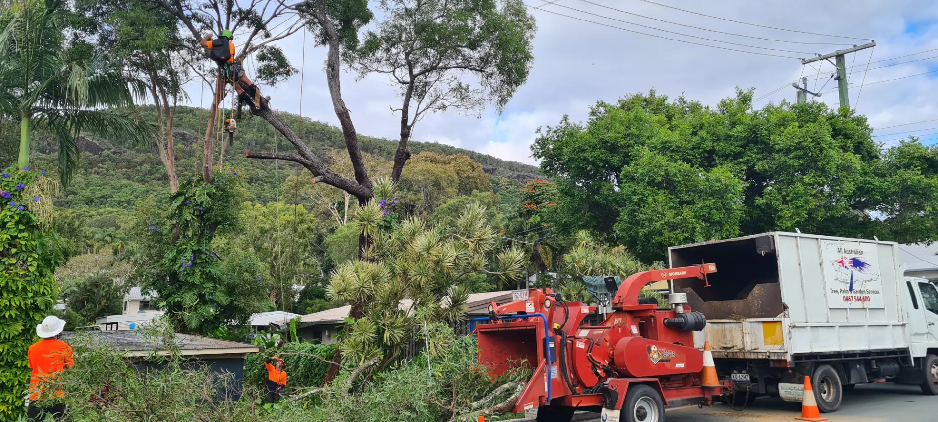 All Australian Tree Palm and Garden Services truck and wood chipper on a Sunshine Coast arborist job