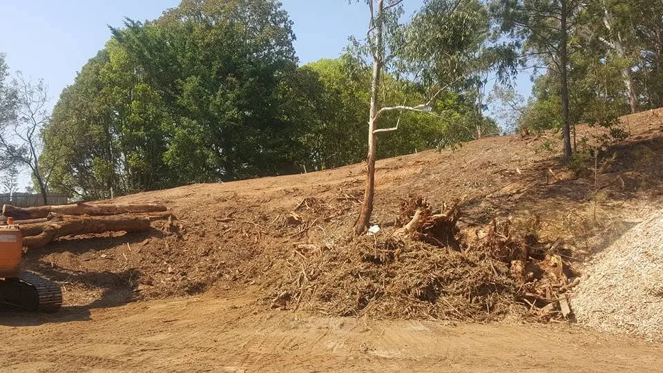 Block clearing in progress ahead of a new build on the Sunshine Coast