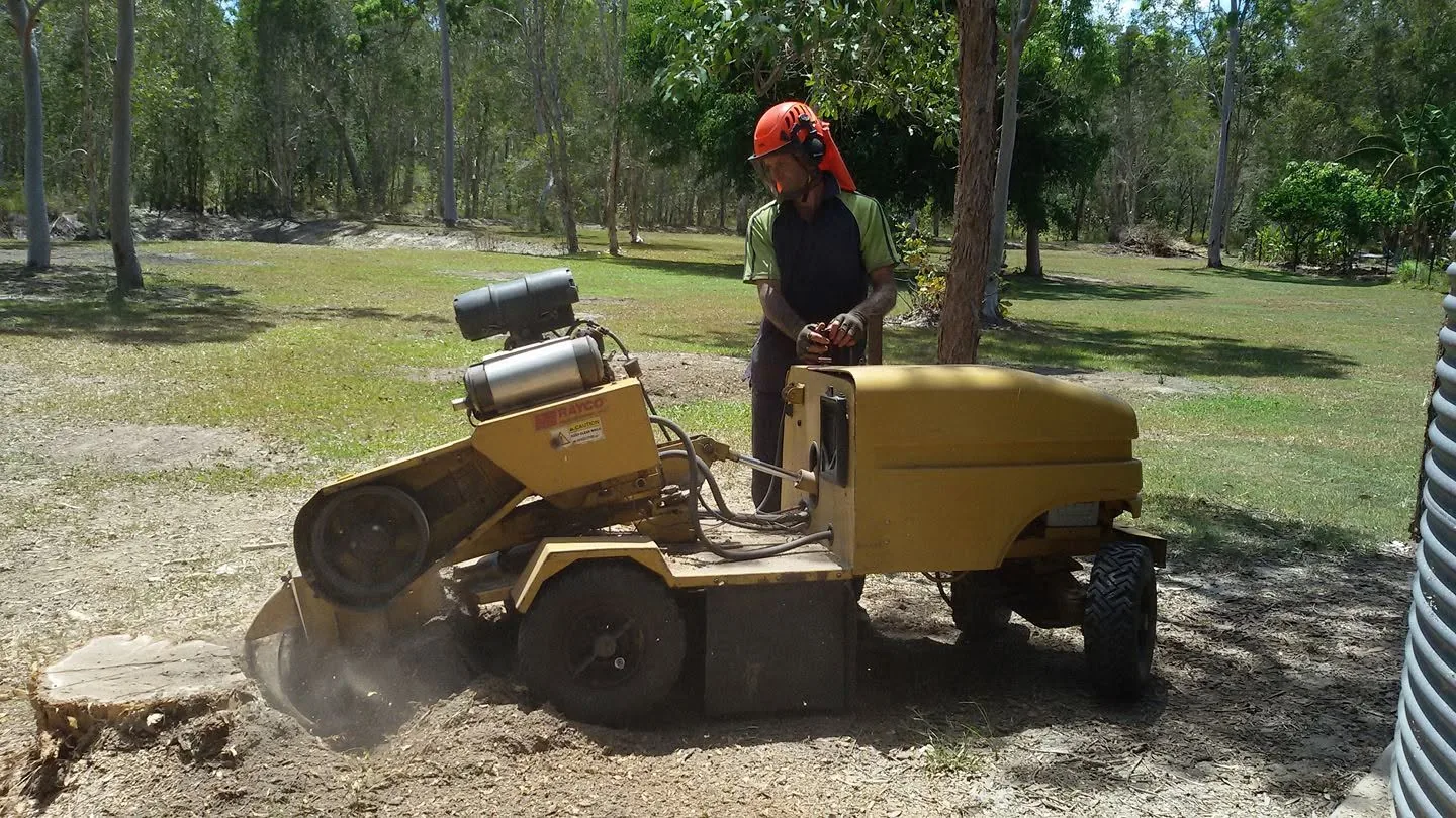 Stump grinding in progress on a Sunshine Coast property