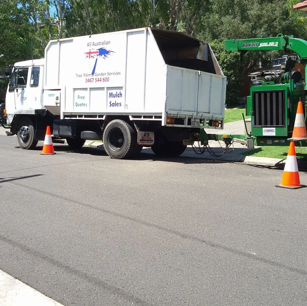 All Australian Tree Palm and Garden Services crew working on a Sunshine Coast site