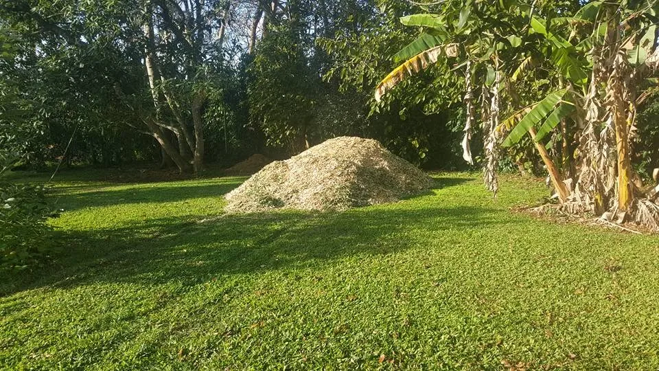 Large mulch pile in a cleared Sunshine Coast hinterland backyard after land clearing