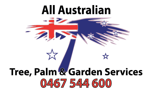 All Australian Tree Palm and Garden